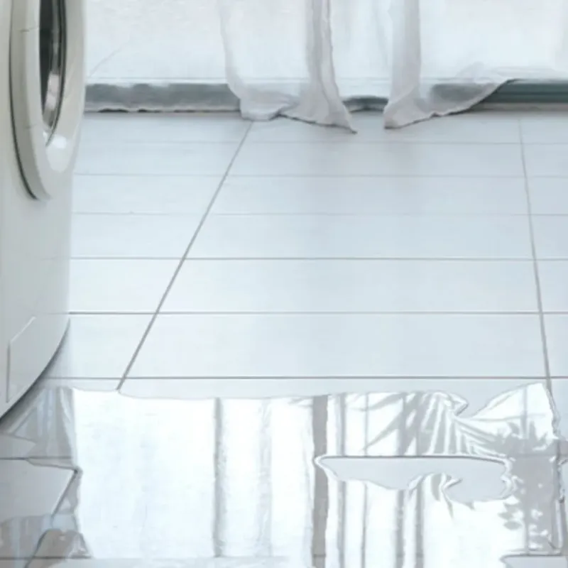 Appliance Leak Cleanup in Le Roy, IL