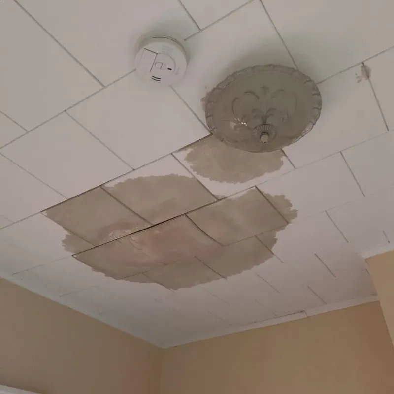 Ceiling Water Damage Repair in Le Roy, IL