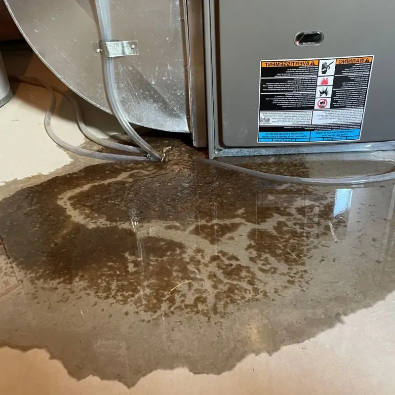 Pipe Burst and Leak Restoration in Le Roy, IL