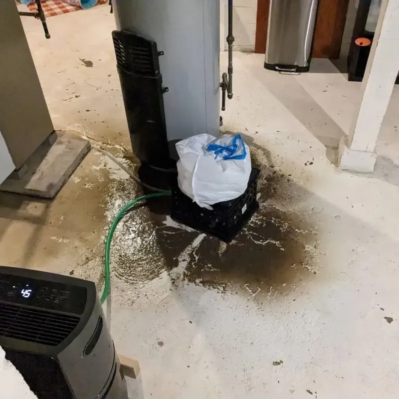 Sewage Backup Cleanup Service in Le Roy, IL
